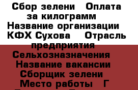 Сбор зелени.  Оплата за килограмм. › Название организации ­ КФХ Сухова  › Отрасль предприятия ­ Сельхозназначения  › Название вакансии ­ Сборщик зелени  › Место работы ­ Г. Лаишево - Татарстан респ., Лаишевский р-н Работа » Вакансии   . Татарстан респ.